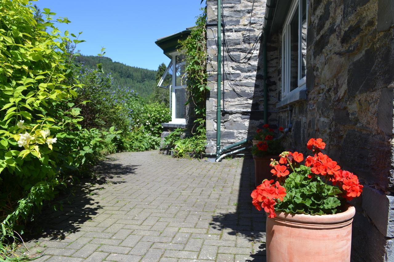 Bed and Breakfast Coed-Y-Fron Betws-y-Coed Zewnętrze zdjęcie